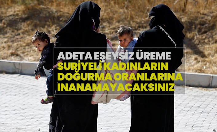 Suriyeli Kadınların Doğum Oranlarına İnanamayacaksınız