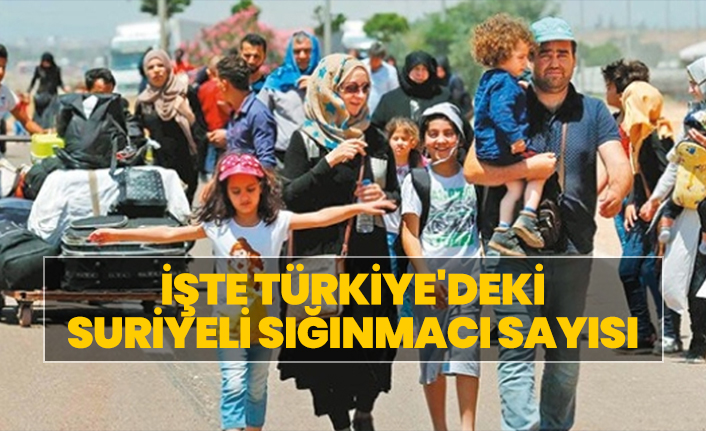 İşte Türkiye'deki Suriyeli sığınmacı sayısı