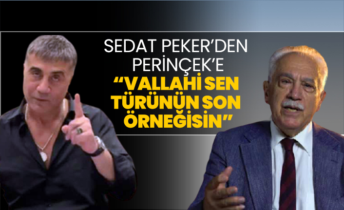 Sedat Peker’den  Perinçek’e “Vallahi sen türünün son    örneğisin”