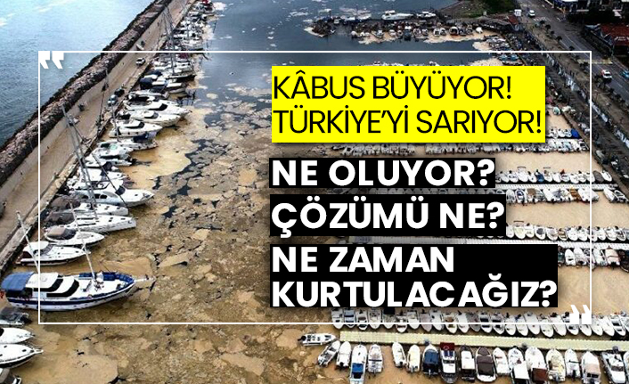 Müsilaj (deniz salyası) kâbusu büyüyor! Deniz salyası (Müsilaj) nedir, neden olur?
