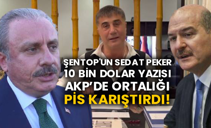 Şentop'un Sedat Peker-10 bin dolar yazısı AKP’de ortalığı pis karıştırdı!