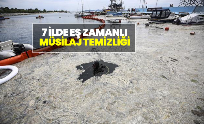 Marmara'daki müsilaj'da son durum!
