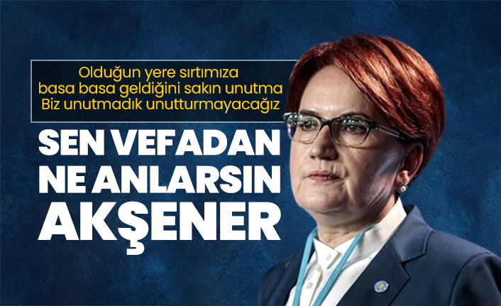 Sen vefadan ne anlarsın Akşener!