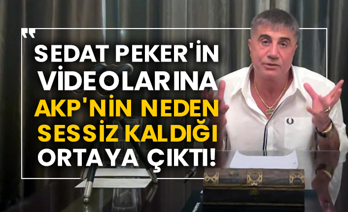 Sedat Peker'in videolarına AKP'nin neden sessiz kaldığı ortaya çıktı!