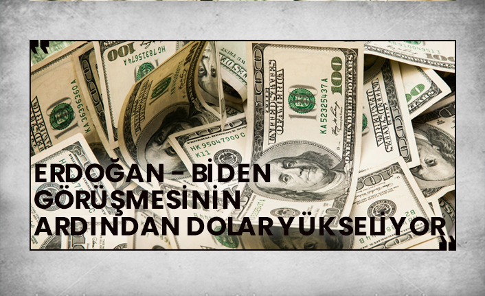 Erdoğan Biden görüşmesinin ardından dolar yükseliyor