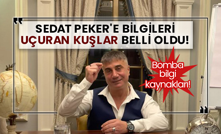 Bomba bilgi kaynakları! Sedat Peker'e bilgileri uçuran kuşlar belli oldu!