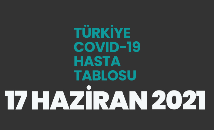 17 Haziran 2021 koronavirüs vaka tablosu açıklandı