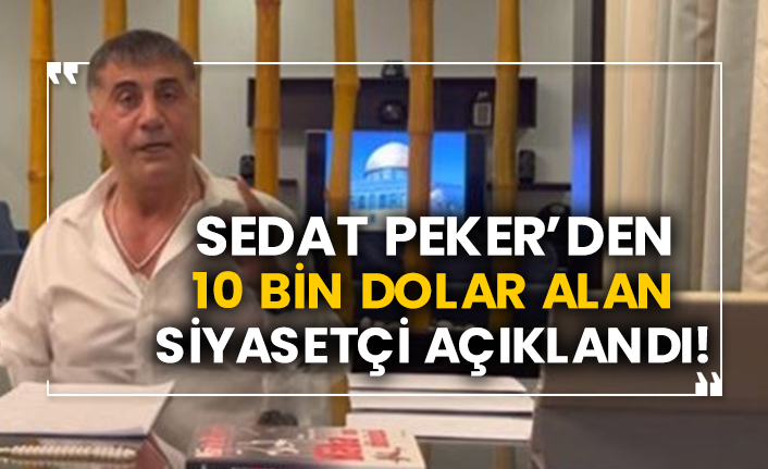 Sedat Peker’den 10 bin dolar alan siyasetçi açıklandı!