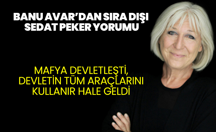 Banu Avar'ın sıra dışı Sedat Peker ve devlet analizi