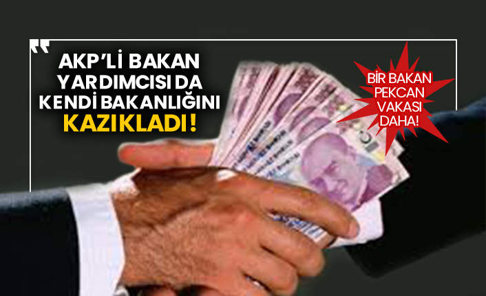 Bir Bakan Pekcan vakası daha! AKP’li Bakan Yardımcısı da kendi bakanlığını kazıkladı!