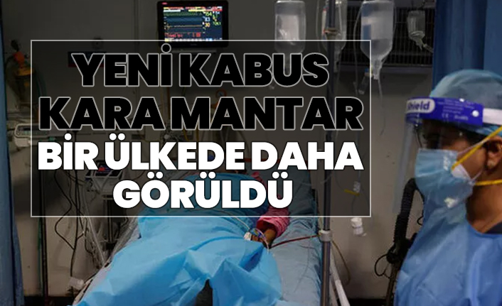 Yeni kabus Kara Mantar bir ülkede daha  görüldü