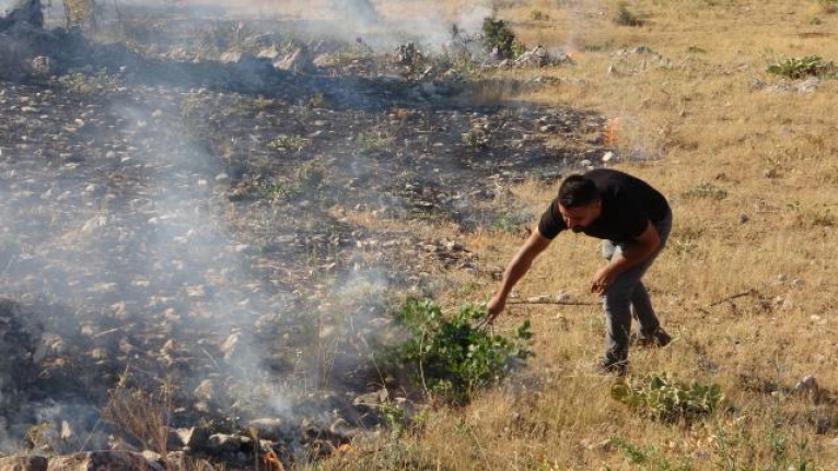 Gazeteciler hem haber yaptı, hem yangına müdahale etti