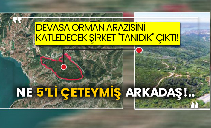 Devasa orman arazisini katledecek şirket "tanıdık" çıktı! Ne 5’li çeteymiş arkadaş!..