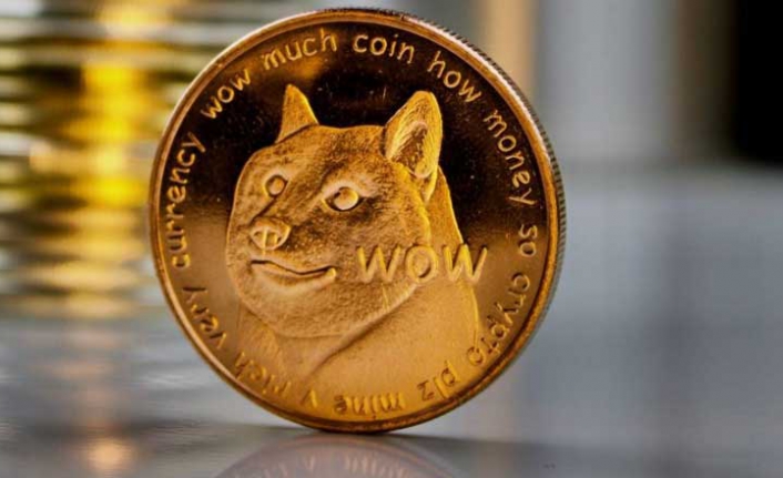 Dogecoin yatırımcıları dikkat! Ne kadar değer kaybetti?