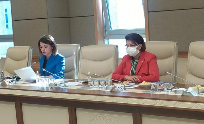 CHP, TBMM Kadına Şiddet Komisyonu'ndan çekildi