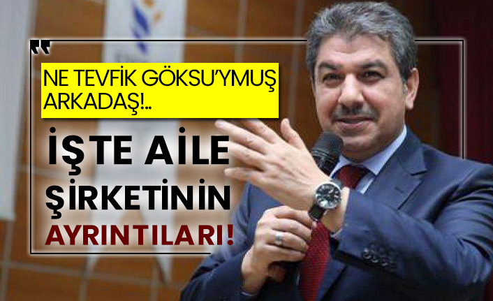 Ne Tevfik Göksu’ymuş arkadaş!.. İşte aile şirketinin ayrıntıları!