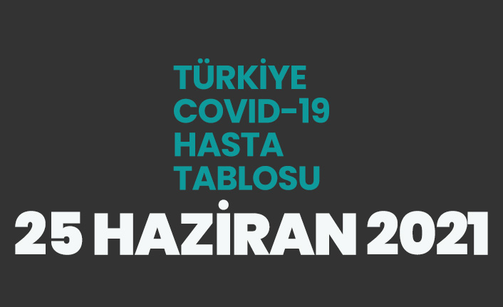 25 Haziran 2021 koronavirüs vaka tablosu açıklandı