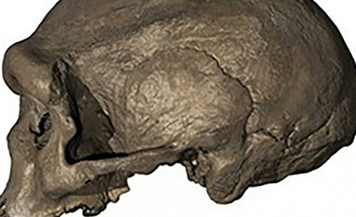 146 bin yıllık keşif: Ejderha Adam