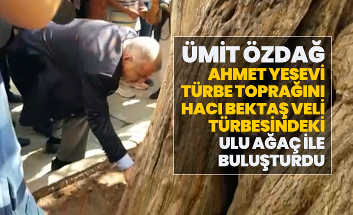 Ümit Özdağ, Hoca Ahmet Yesevi türbe toprağını,  Hacı Bektaş Veli türbesindeki ulu ağaç ile buluşturdu