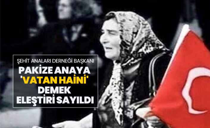 Şehit Anaları Derneği Başkanı Pakize Anaya 'vatan haini' demek  eleştiri sayıldı