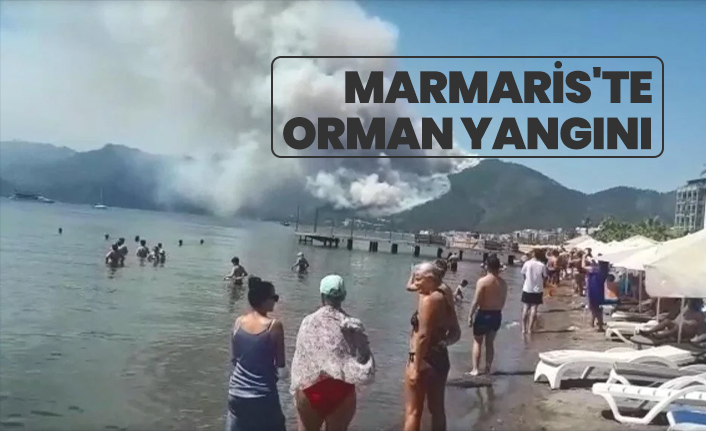 Marmaris'te orman yangını
