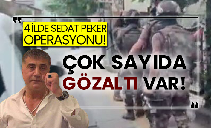 4 ilde Sedat Peker operasyonu! Çok sayıda gözaltı var!