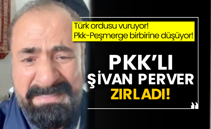 Pkk-Peşmerge birbirini vuruyor! Pkk’lı Şivan Perver ağladı!