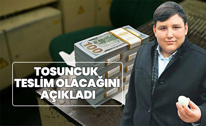 Çiftlikbank'ın kurucusu Mehmet Aydın teslim olacağını açıkladı