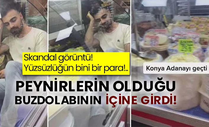 Skandal görüntü! Yüzsüzlüğün bini bir para!.. Peynirlerin olduğu buzdolabının içine girdi