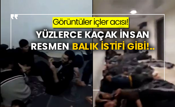 Görüntüler içler acısı! Yüzlerce kaçak insan resmen balık istifi gibi!..