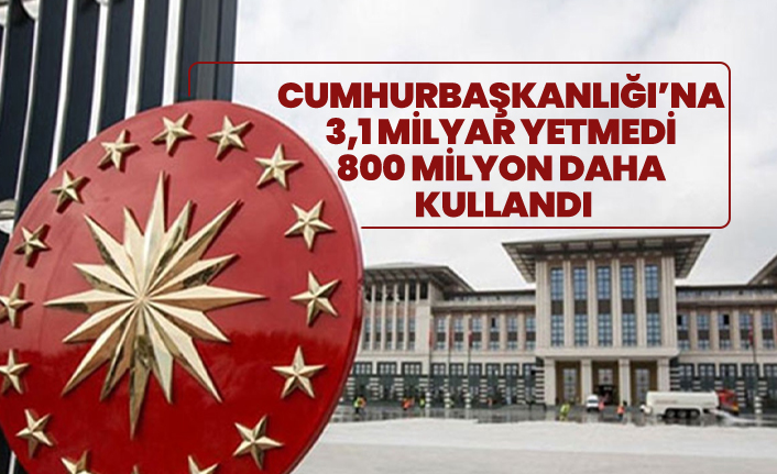 Cumhurbaşkanlığı’na 3,1 milyar yetmedi 800 milyon daha  kullandı
