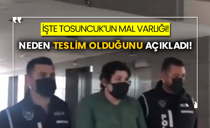 İşte Tosuncuk’un mal varlığı! Neden teslim olduğunu açıkladı!