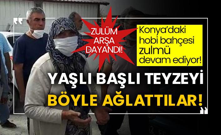 Konya’daki hobi bahçesi zulmü devam ediyor! Zulüm arşa dayandı! Yaşlı başlı teyzeyi böyle ağlattılar!