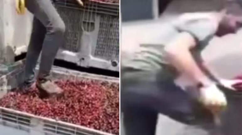 Meyve suyu üretim tesisinde mide bulandıran görüntüler!