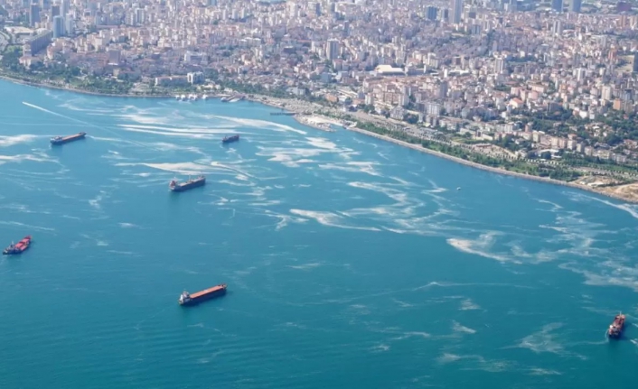 İstanbul’da Müsilaj ne oldu?