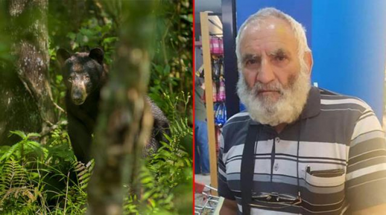 Vahşi ayı, talihsiz adama saldırdı