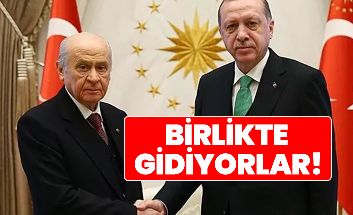 Cumhurbaşkanı Erdoğan ve Devlet Bahçeli