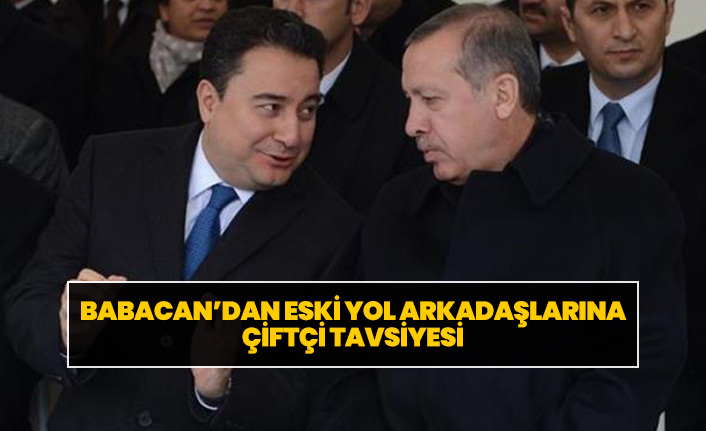 Babacan'dan Erdoğan'a çiftçi ayarı