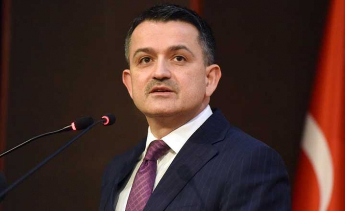 Bakan Bekir Pakdemirli'den yangın açıklaması!