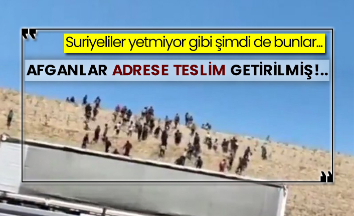 Suriyeliler yetmiyor gibi şimdi de bunlar... Afganlar adrese teslim getirilmiş!..