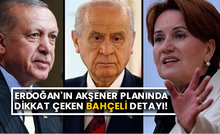 Erdoğan'ın Akşener planında dikkat çeken Bahçeli detayı!