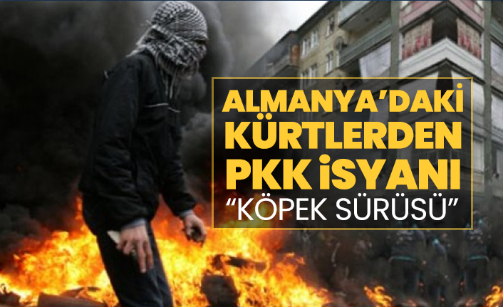 Almanya’daki Kürtlerden PKK isyanı