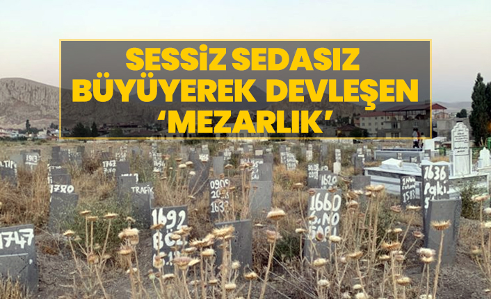 Sessiz sedasız  büyüyerek  devleşen ‘mezarlık’