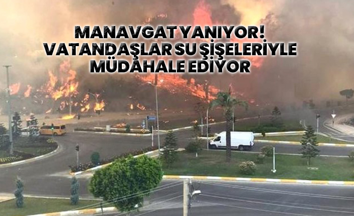 Manavgat alevlere teslim!