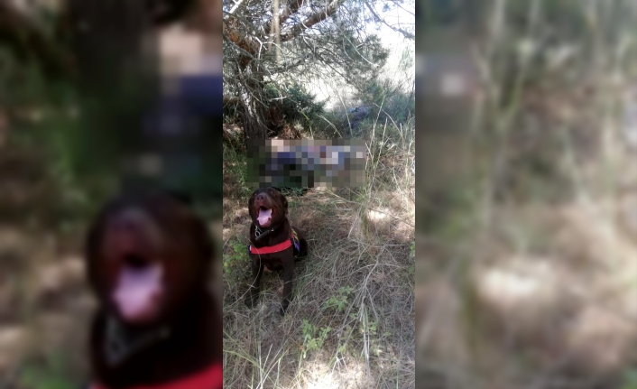 "Bugün beni beklemeyin" diyen yaşlı adam mezarlıkta ölü bulundu