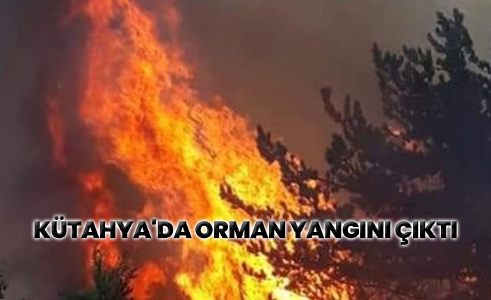 Kütahya'da orman yangını çıktı