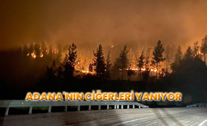 Adana'nın ciğerleri yanıyor