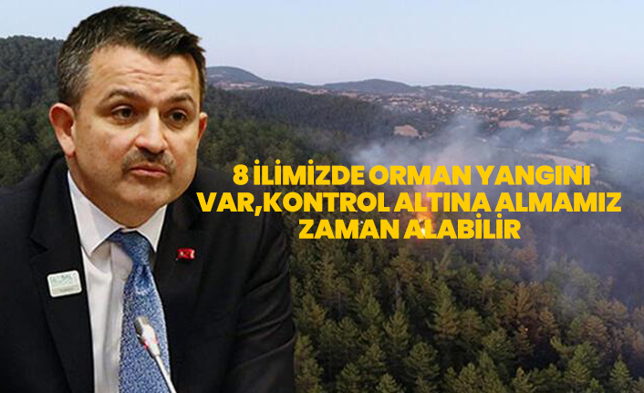 Orman Bakanı Pakdemirli: 8 ilimizde orman yangını var, kontrol altına almamız zaman alabilir