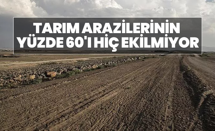 Tarım arazilerinin yüzde 60'ı hiç ekilmiyor