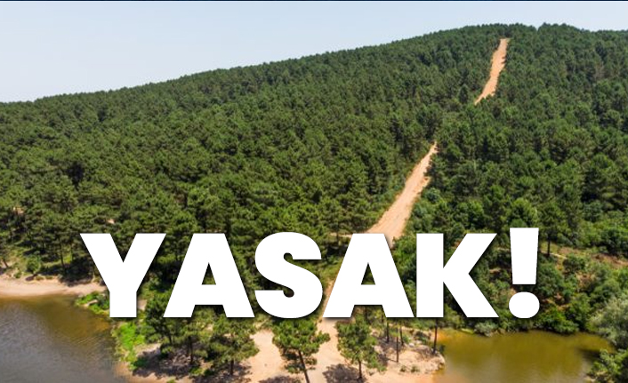 İstanbul'da ormanlık alanlara girişler yasaklandı